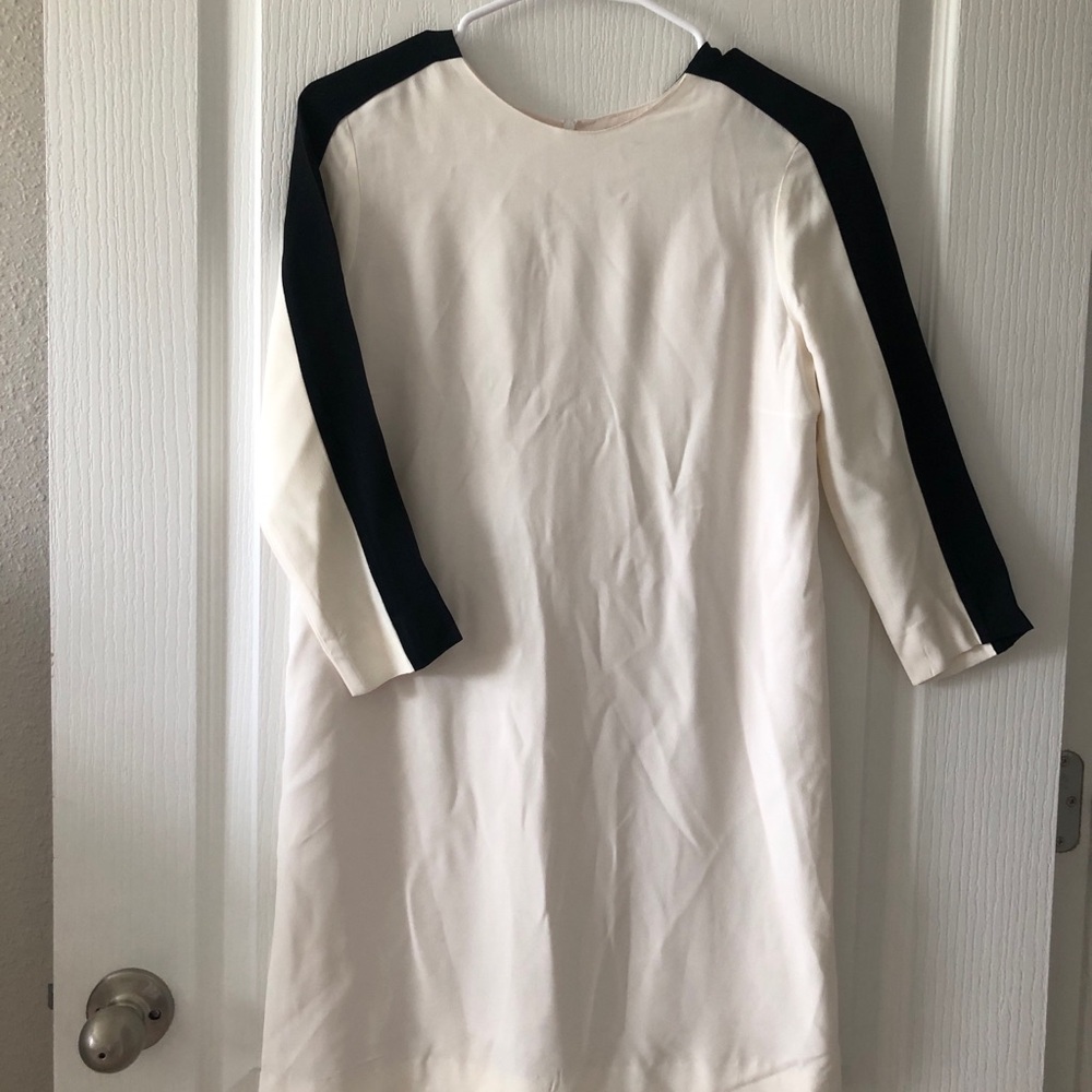 Zara Cream and Black Long Sleeve Dress